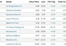 Coronavirus Stocks Still on a Tear. Biotech Stock Review