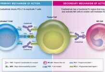 11:00 AM Webinar Today, Checkpoint Therapeutics (CKPT) CEO James Olivero. Checkpoint Theraputics