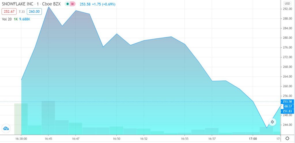 Snow Flake Ipo Price