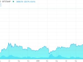 Internet Stock Review