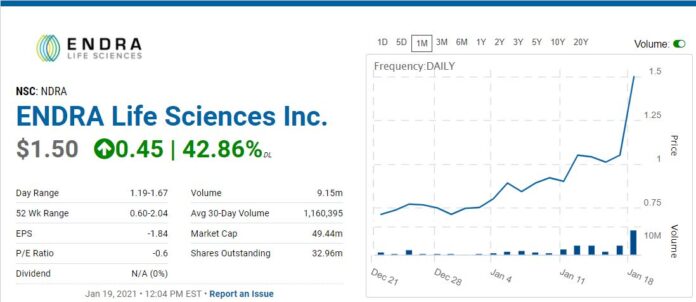 ENDRA, Biotech Stock Review