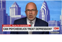 Are Psychedelics the New Prozac? Psychedelic Stock Review