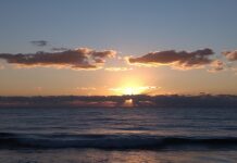 Ehave (EHVVF) Announces Inclusion in the 2021 Psychedelic Investor Guide