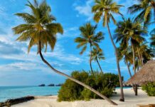 Going Public Guide (PWC).