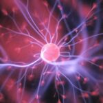 Revive Therapeutics (RVVTF) Announces Finalization of Amended Phase 3 COVID-19 Study Protocol to FDA