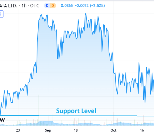 Report: Sekur Private Data (SWISF) $0.06.